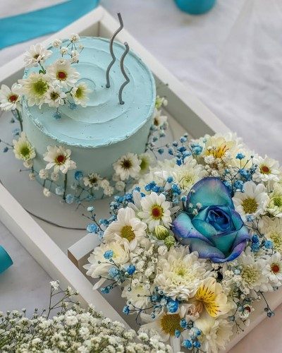 کیک تولد 2676